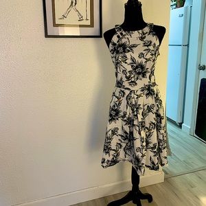 Humming Bird Dress